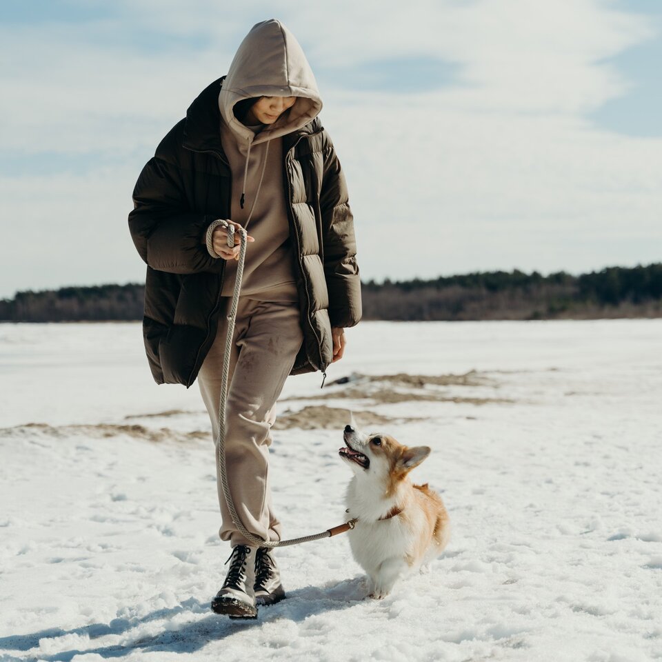 Tipps für Winterurlaub mit Hund